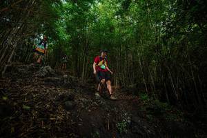 BIB: 
                            <button type="button" onclick="openModal(25102235)" class="btn btn-primary btn-sm float-right btn-popup" data-toggle="modal" data-target=".modal-high-quality">
                        <i class="fas fa-shopping-cart"></i> Add to Cart
                    </button>
                                            <button type="button" onclick="isThisMe(25102235, true)" class="btn btn-success btn-sm float-right btn-popup btn-isme hidden" data-toggle="tooltip" data-placement="bottom" title="นี่คือรูปของคุณใช่ไหม คลิกที่นี่เพื่อเอาเข้าอัลบั้ม">
                        <i class="fas fa-plus"></i> Add to album
                    </button>
                    <button type="button" onclick="isThisMe(25102235, false)" class="btn btn-warning btn-sm float-right btn-popup btn-isnotme hidden">
                        <i class="fas fa-ban"></i> Remove from album
                    </button>